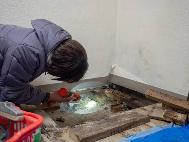 Best Industrial Mold Remediation  in Keystone, FL