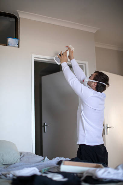 Best Mold Removal for HVAC Installations  in Keystone, FL