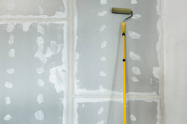 Forensic Mold Investigation in Keystone, FL