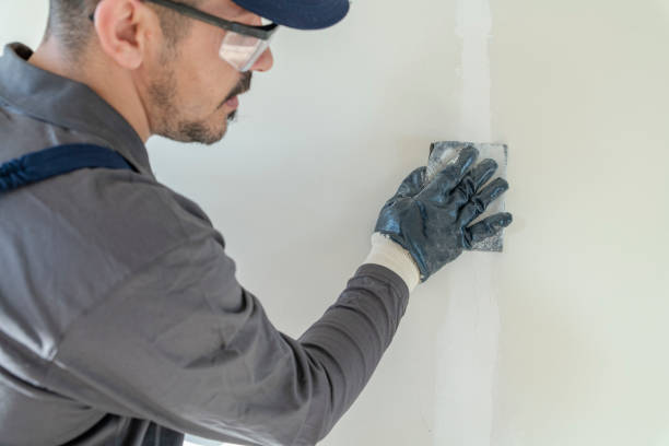 Best Mold Damage Restoration  in Keystone, FL