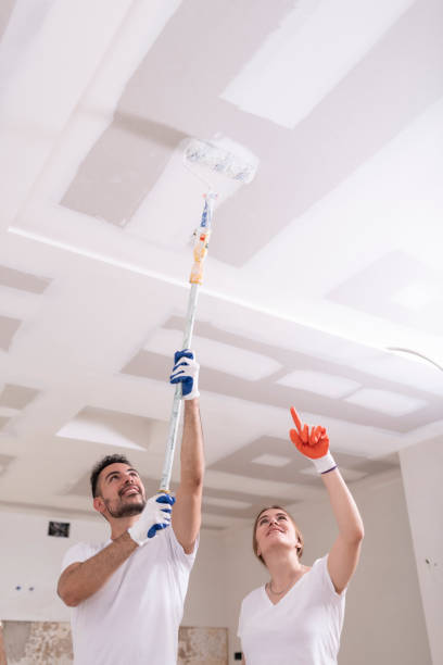 Best Water Damage & Mold Remediation  in Keystone, FL