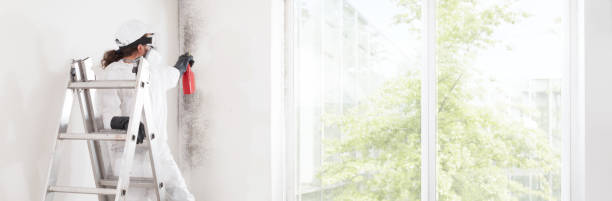 Mold Remediation for Vacation Homes in Keystone, FL