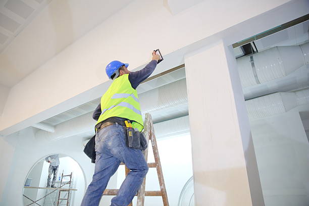 Best Emergency Mold Remediation  in Keystone, FL