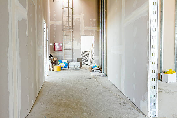 Best Air Quality Testing for Mold Spores  in Keystone, FL