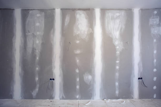  Keystone, FL Mold Removal Pros