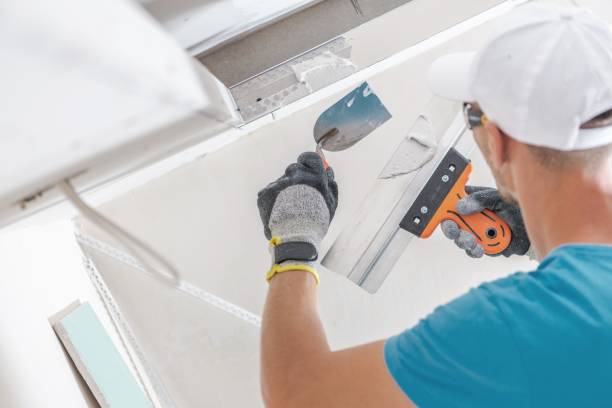 Best Dehumidification Services  in Keystone, FL